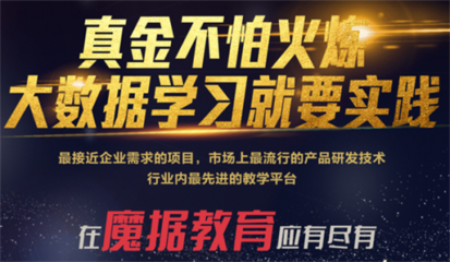 淄博大数据培训中心哪家好?就业前景如何?